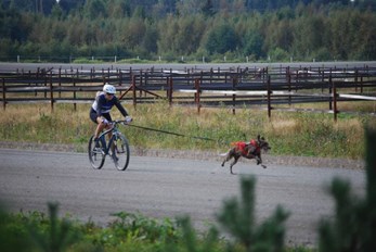 Barmarksløp 7. September